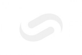 LOGO-GRAY-2